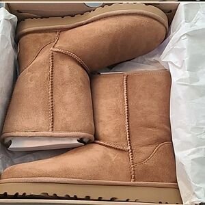 UGG | classic 🎁